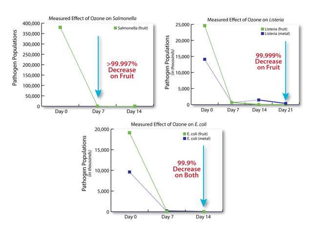 Ozone eliminates pathogens