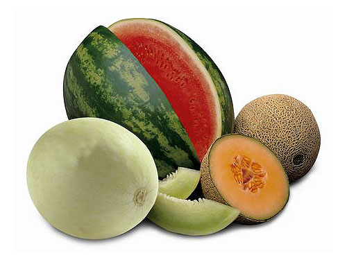 Melons Commodities