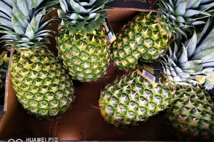 Pineapples upon arrival in China